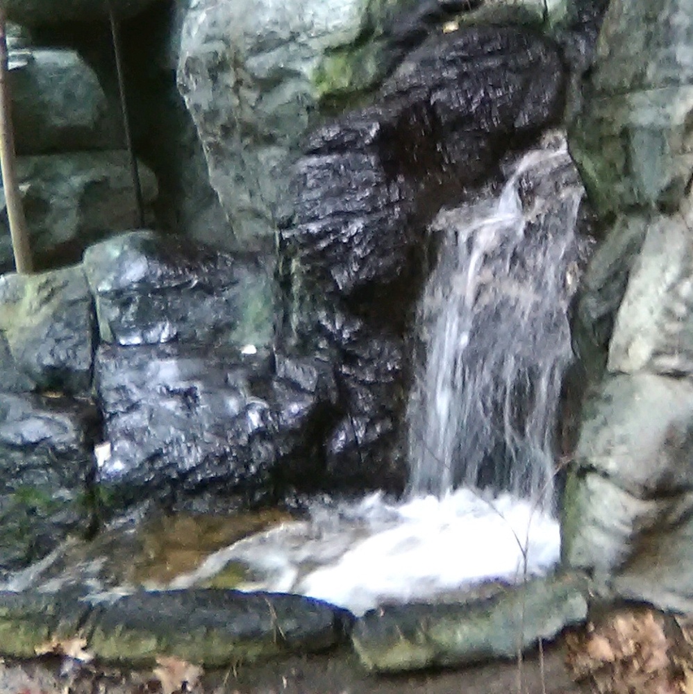 Meet your Posher, Madelaine